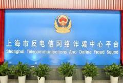 上海网络 数字浪潮中的都市脉动